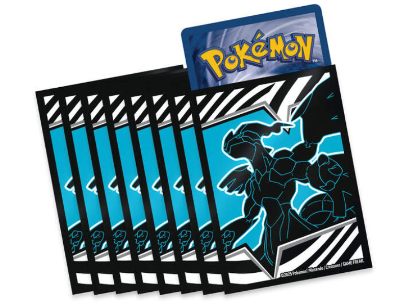 Pokémon Top-Trainer-Box Karmesin & Purpur – Schwarze Blitze